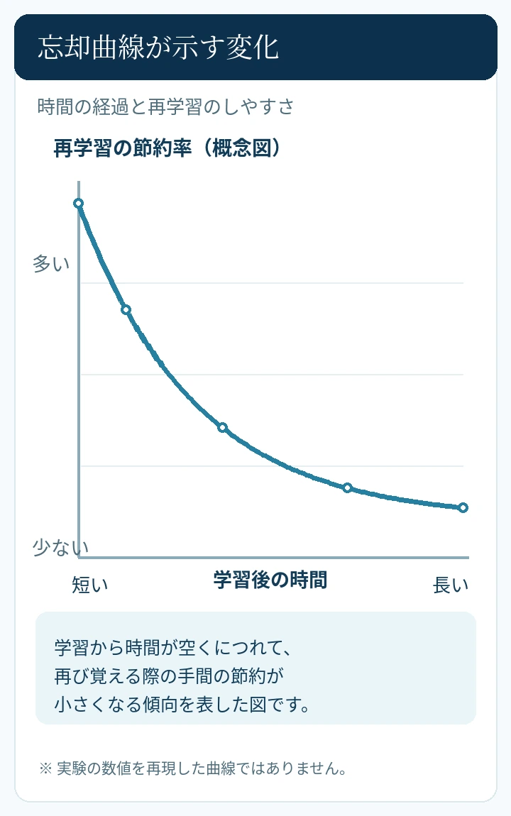 学習後の経過時間と再学習の節約率の関係を、数値を使わず縦長に示す概念図。