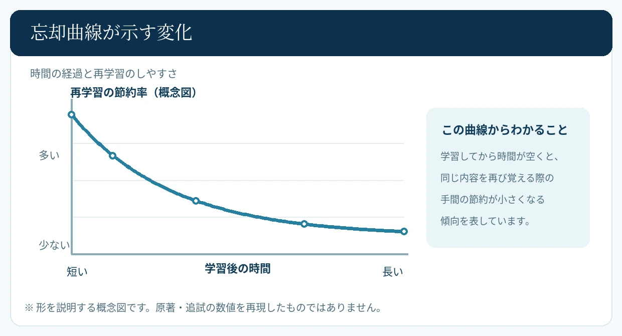 時間が経つにつれて再学習の節約率が小さくなる傾向を表す概念図。実験の測定値は示していない。