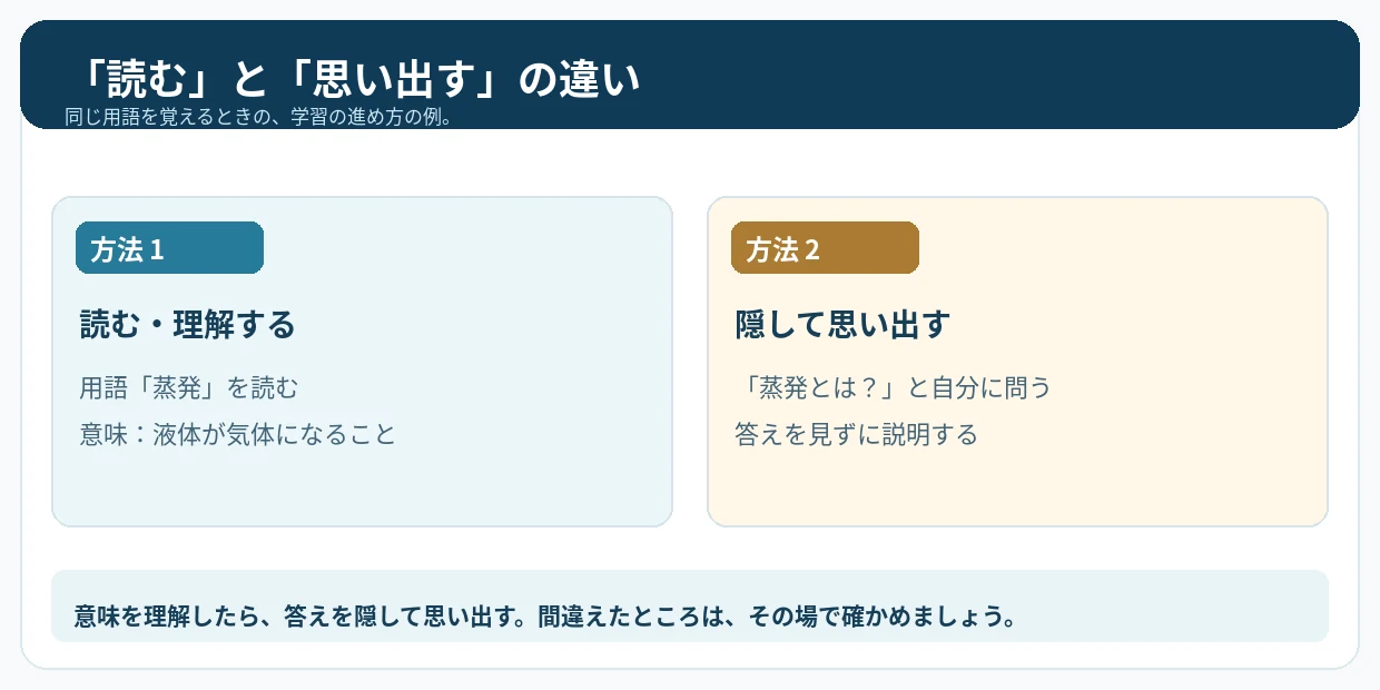読むことと思い出すことの比較図。詳しい内容は図の説明にあります。
