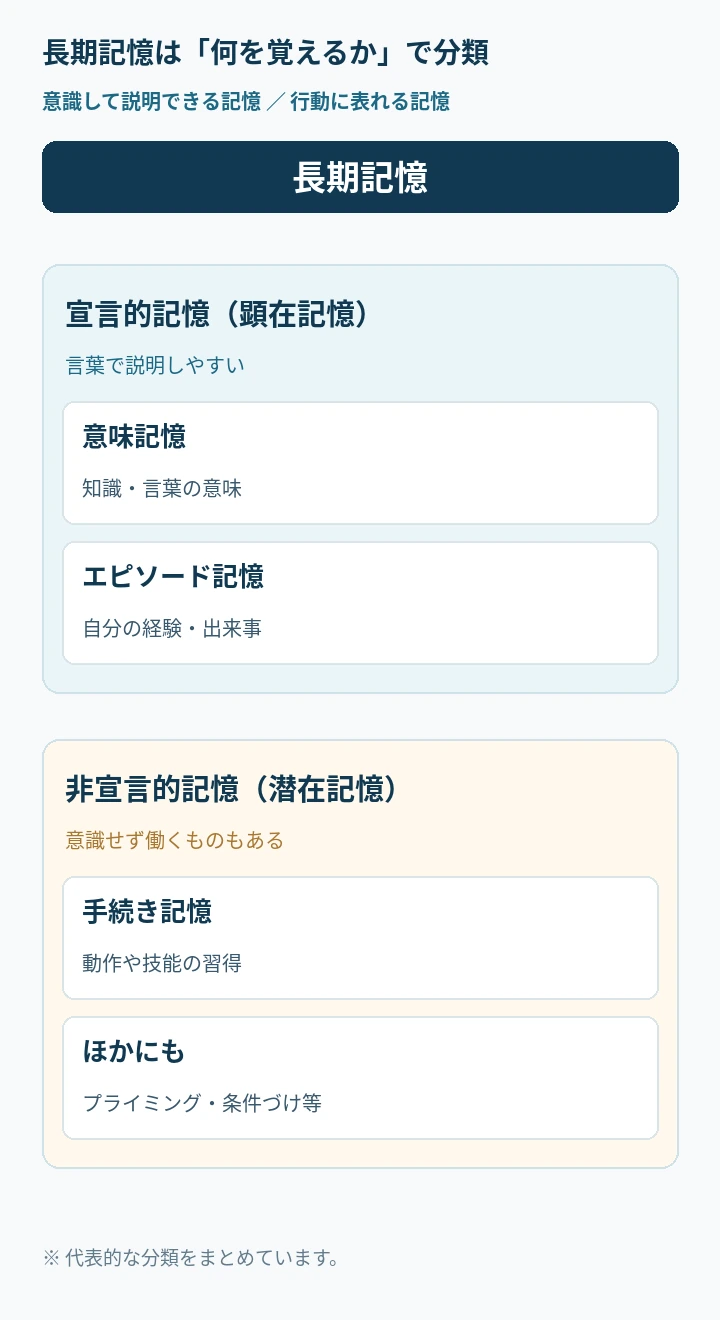 長期記憶を宣言的記憶と非宣言的記憶に分け、意味記憶、エピソード記憶、手続き記憶などの例を縦型で示した図。