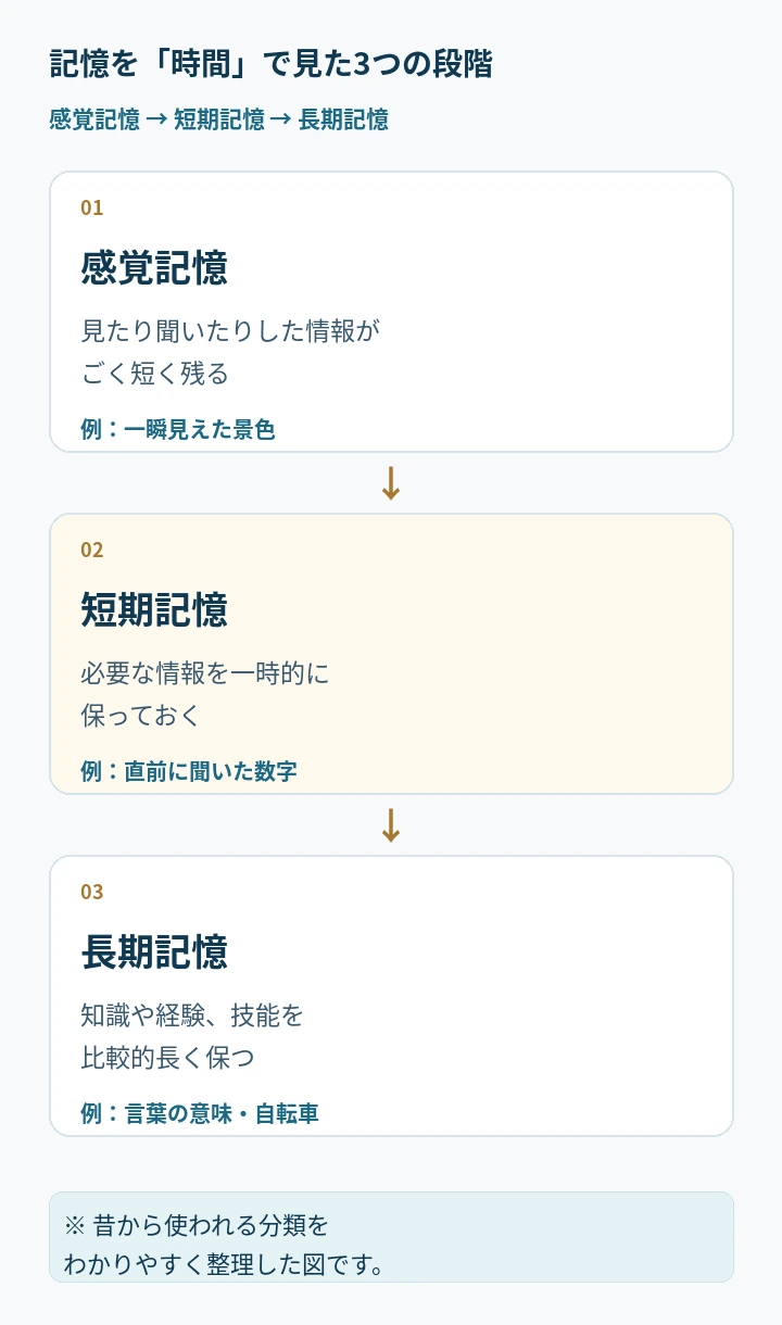 感覚記憶、短期記憶、長期記憶を縦に並べ、それぞれ身近な例を示した図。