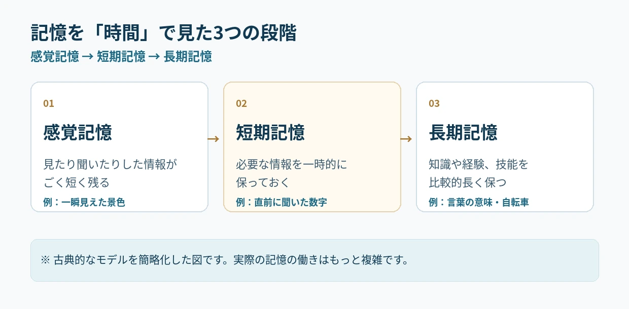 感覚記憶、短期記憶、長期記憶を左から並べた図。見聞きした情報、一時的に保つ情報、長く保つ情報の違いを示す。