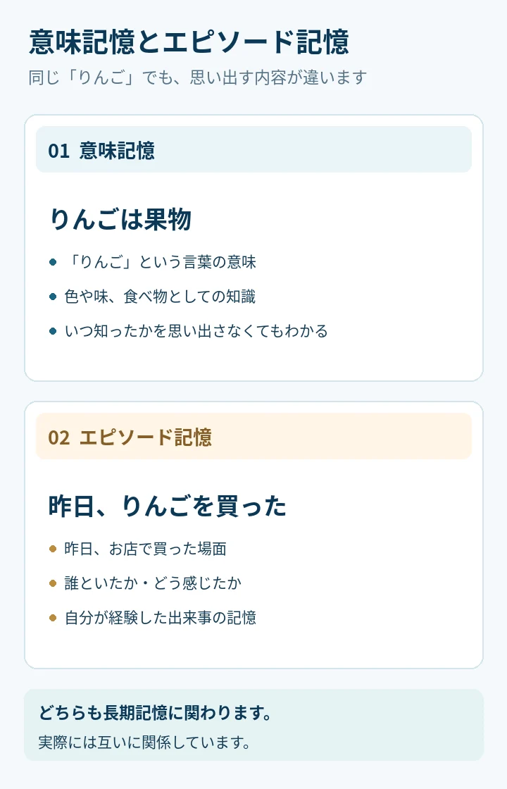 意味記憶とエピソード記憶をりんごの例で縦に比較した図。