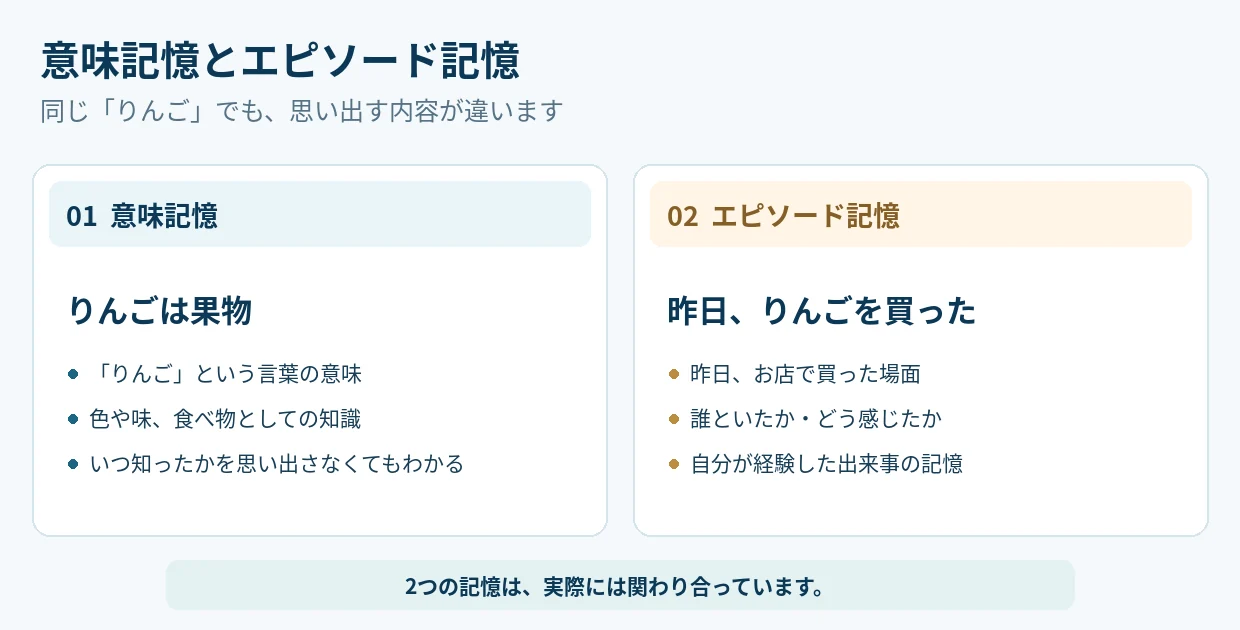 意味記憶は「りんごは果物」といった一般的な知識、エピソード記憶は「昨日りんごを買った」といった体験を思い出す例を比較した図。