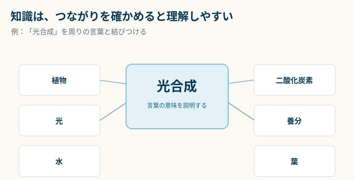 光合成という言葉を中心に、植物・光・水・二酸化炭素・養分・葉を関連する知識として配置した図。